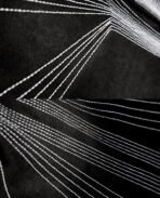 Davril Supply Black Rays Zip (5)