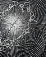 DavrilSupply Mirror Jacket (4)