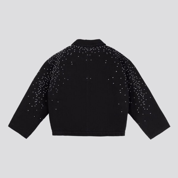 Davril Supply Black Stardust Jacket (2)